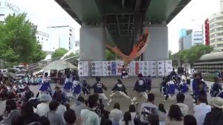 わいわい若宮2016　「岐阜聖徳学園大学　柳」１回目