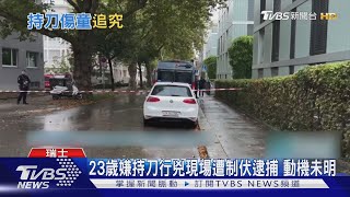 瑞士幼兒園3童遭砍1重傷 警:嫌犯為中國籍 ｜TVBS新聞 @TVBSNEWS01