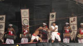 Angampora Martial Art | The Power of Ancient Traditiona of Fighting in Sri Lanka 🇱🇰 #angampora