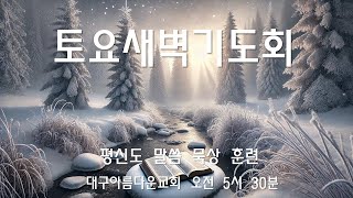 [차원파괴와생성] [야고보서1장] [대구아름다운교회/2025.01.11./토요새벽기도회LIVE/김경진집사] #묵상 #말씀 #예수님