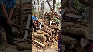 Two Guys Working Together To Split Firewood