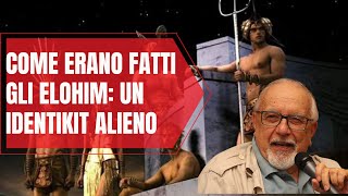 Com'erano fatti gli Elohim: un identikit degli alieni