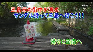 静岡県 三島市の街中が湧水　サンダル持って三島へ行こう！！　帰りに函南へ！