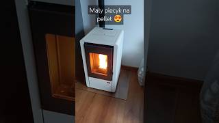 Mały automatyczny piecyk na pellet Artel Petit / Nina 6.5 kW #pellet #kominek #fireplace #piec #diy