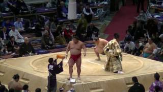 大相撲.2016.11.26/北太樹(kitataiki)-大栄翔(daieisho) hakata Basho/day 14 #sumo