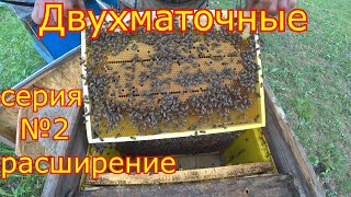 ДВУХМАТОЧНЫЕ! Расширение  Серия №2  Дождались дождя!