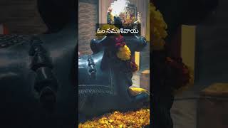 ఓం నమఃశివాయ #viralshort #plzdosuporrtmychanlfriends #devotionalsong #plz #godsiva