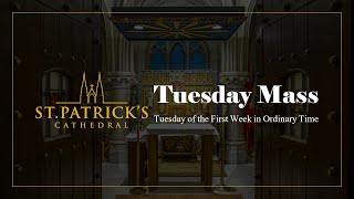 Tuesday Mass - January 14th 2025