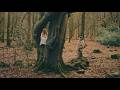 The Woodgies - 