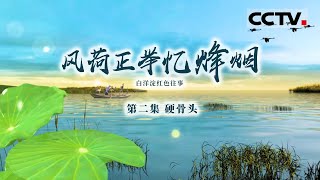 《风荷正举忆烽烟——白洋淀红色往事》第2集 明明是外国人却救活无数中国士兵！白求恩曾4个月做315次战地手术【CCTV纪录】