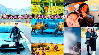 THE MOST DANGEROUS WILDLIFE SAFARI🦁 #africansafari #mostvisitedplaceinjapan2025 #japanvlog #volcano