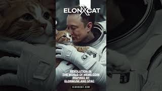 ElonXCat: Paws and Rockets to the Moon 🚀🐱 || ELONXMUSK \u0026 SPACEX MEME COIN ||