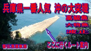 #146兵庫県香住漁港東港一番人気沖の大突堤ここに行くルート案内兵庫県美方郡香美町香住区境イカ墨跡多数海がきれいな規模の大きい漁港人気ポイント高級魚大物が釣れる雄大な海と豊かな自然ここを下りて来ました