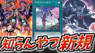 【#遊戯王】専用サポートが忘れ去られた頃にやってくる「不死武士の悼み」【カード紹介】【遊戯王OCG】