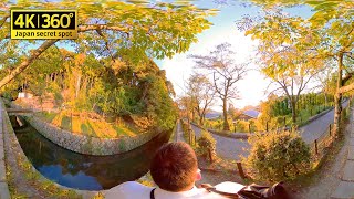 360°  5K VR｜Take a walk along the Philosopher's Path in Kyoto, Japan.