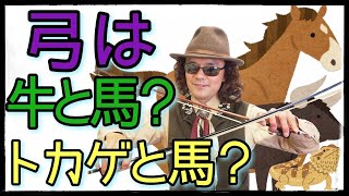 バイオリン解説♪ 弓の消耗品は毛だけじゃない？ 皮巻き替え（牛かトカゲか）