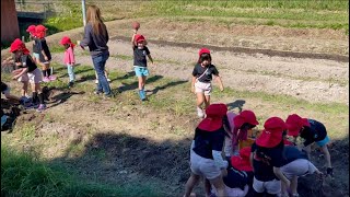 昼仕事　保育園　芋掘り　鹿児島　ミルキー教育学園