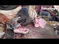 ara kola meen cutting video fishcuttingrs fish fishcuttingrs kasimedu