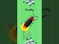 Insects names | Insects names in English | Insects names in English with Picture |  #shorts