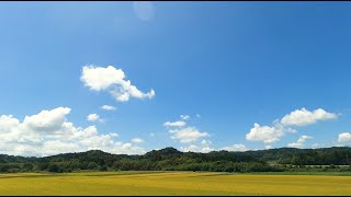 【スケッチ90秒】18 上総川間駅