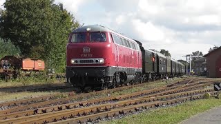 Die Lollo im Wald - V160 Vorserie auf der TWE Teutoburger Waldeisenbahn