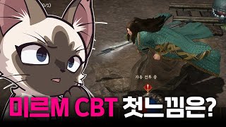 [광고] 미르M : 뱅가드앤배가본드 CBT 후기