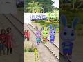 Rabit dancing with funny frog stop the high-speed train#trending#viralvideo#funny