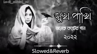 Shukh Pakhi সুখ পাখি Slowed+Reverb বাংলা কষ্টের গান Lofi Music Bangla Song Video