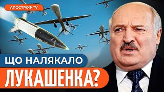 УКРАЇНСЬКІ ЧОЛОВІКИ ЗА КОРДОНОМ / Панічні заяви лукашенка // Гавриш