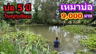 เหมาบ่อ 9,000บาท ไล่ล่าปลากันโคตรมันส์เลย | Ep.074