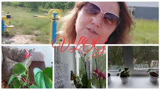 VLOG: Пофарбулася / Нова орхідея / Пересадила Антуріум ( чоловіче щастя)