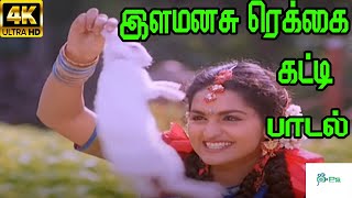 Ila Manasu Rekkai Katti  || இள மனசு ரெக்கை கட்டி || K.S.Chitra ||Love H D Song