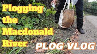 Plog Vlog - Plogging NSW's Macdonald River