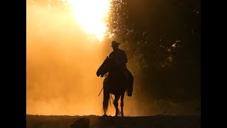 Tumbleweed (Yellowstone Version) - Puscifer