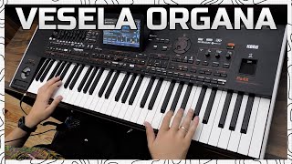 Vesela Organa // MARKO MX - Brza Rumba I Uzivanje - KORG Pa4x!