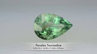 Paraiba Tourmaline | 8.56 Cts