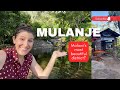 Malawi's Most Beautiful District? A Mulanje Vlog