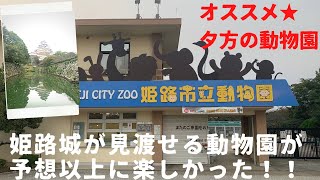 姫路観光　お城が見渡せる動物園に行こう！＠姫路市立動物園　HIMEJI CITY ZOO