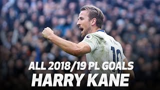 ALL OF HARRY KANE'S 2018/19 PREMIER LEAGUE GOALS