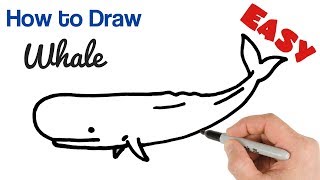 How to Draw a Whale Easy Art Tutorial for Beginners