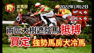 【香港賽馬】2022年1月12日心水提供｜兩匹大樹遮陰馬抵搏！兼買定一匹強勢馬房大冷馬！｜WP攻略｜過關攻略