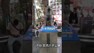 渋谷 忠犬ハチ公像  肩乗り猫リクちゃん  東京都渋谷区  ♯shorts　♯ネコかわいい　　♯ネコ　♯猫　♯Cat cute 　♯Cat  ＃渋谷ハチ公 ＃忠犬ハチ公 ＃ハチ公  ＃可愛くてごめん