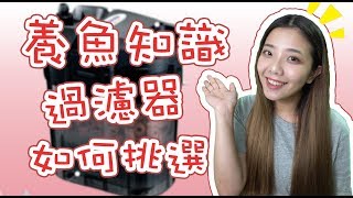 如何挑選理想的過濾器｜養魚知識  how to choose aquarium  filter  EP11