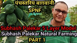 SUBHASH PALEKAR 5 LAYER MODEL | PART1 | SUBHASH PALEKAR NATURAL FARMING | SPNF | MULTI LAYER FARMING