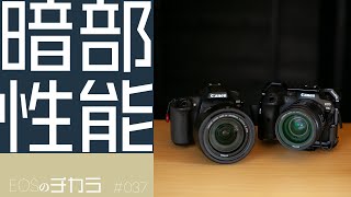 【EOSのチカラ】vol.037「EOS 80Dの暗部性能」