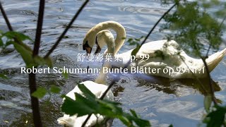 Robert Schumann: Bunte Blätter op.99 Nr.1