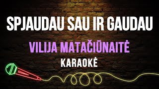 Vilija Matačiūnaitė - Spjaudau Sau Ir Gaudau (Karaoke)