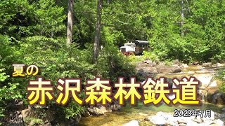 赤沢自然休養林の森林鉄道