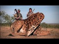 ALLAN SCHENK SAFARIS - GIRAFFE HUNT