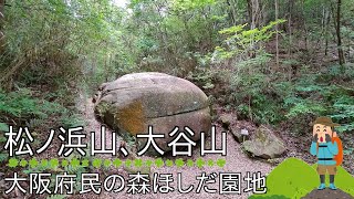 [のろのろ登山]119　松ノ浜山,大谷山(大阪府民の森ほしだ園地星田連山 交野市)に管理道ルート磐船神社から登ってみた Matsunohamayama Otaniyama 2024/04/27